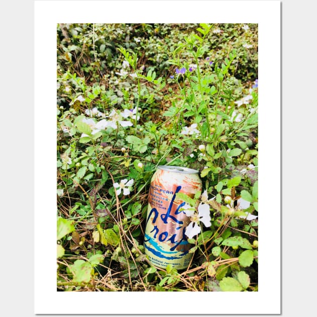 Outdoors La Croix Wall Art by jeremiahm08